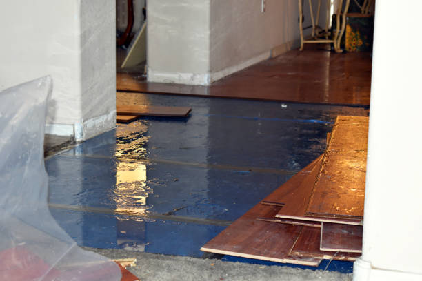 Professional Burst Pipe Cleanup technician working in Wanchese, NC