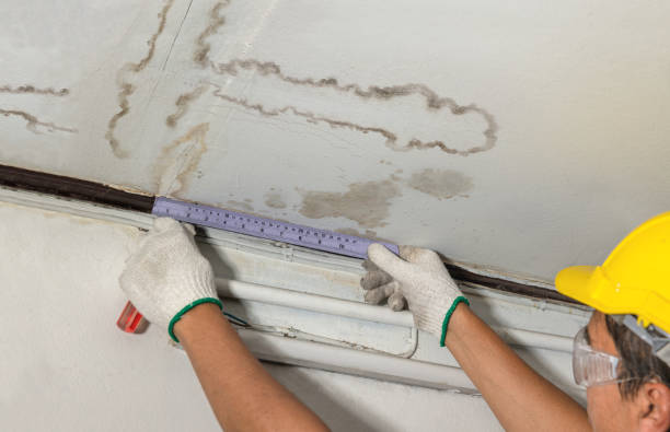 Reliable Burst Pipe Cleanup contractor in Wanchese, NC by Water Damage Irwin